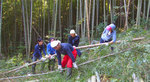 workcamp-large.jpg