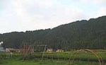 wcj_hakusan0 (14).JPG