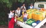 ww_802ogata01.jpg